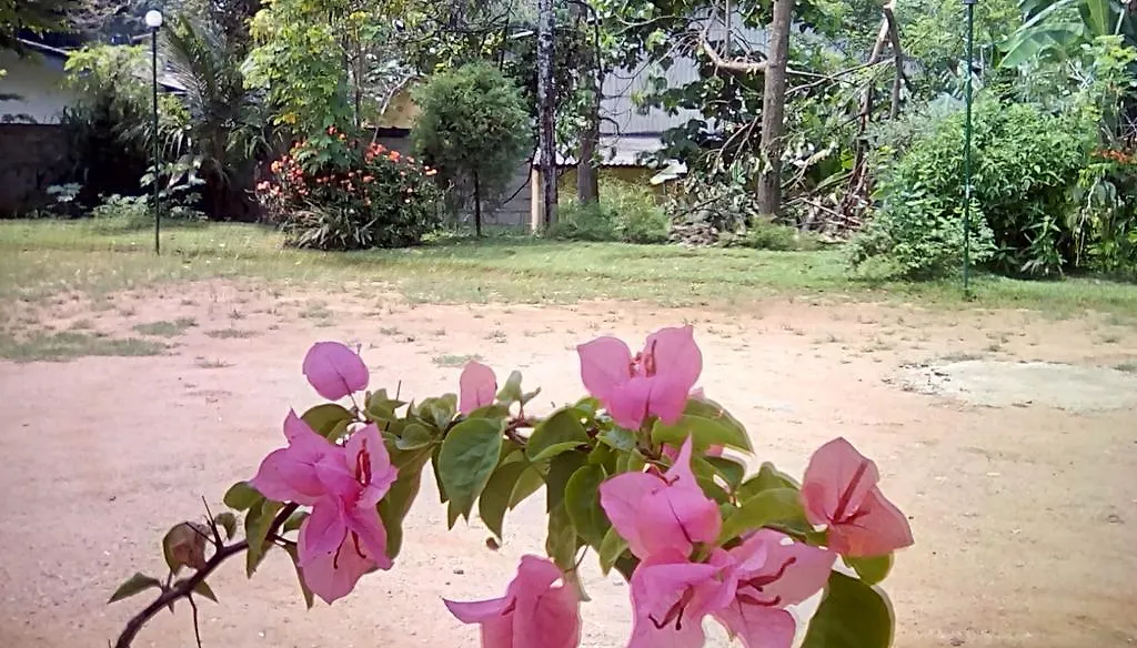 Guest house Leaf Holiday Resort Sri Lanka
